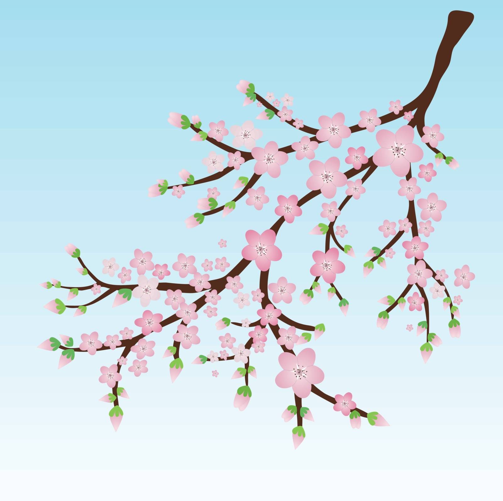 Branch with pink blossoms and flower butts by Bwise