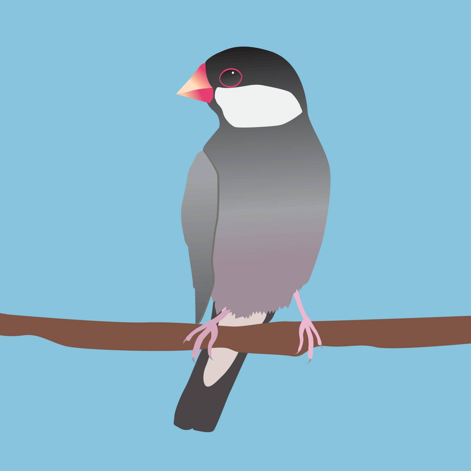 A digital vector illustration of a java sparrow. He is sitting on a long branch. Blue background