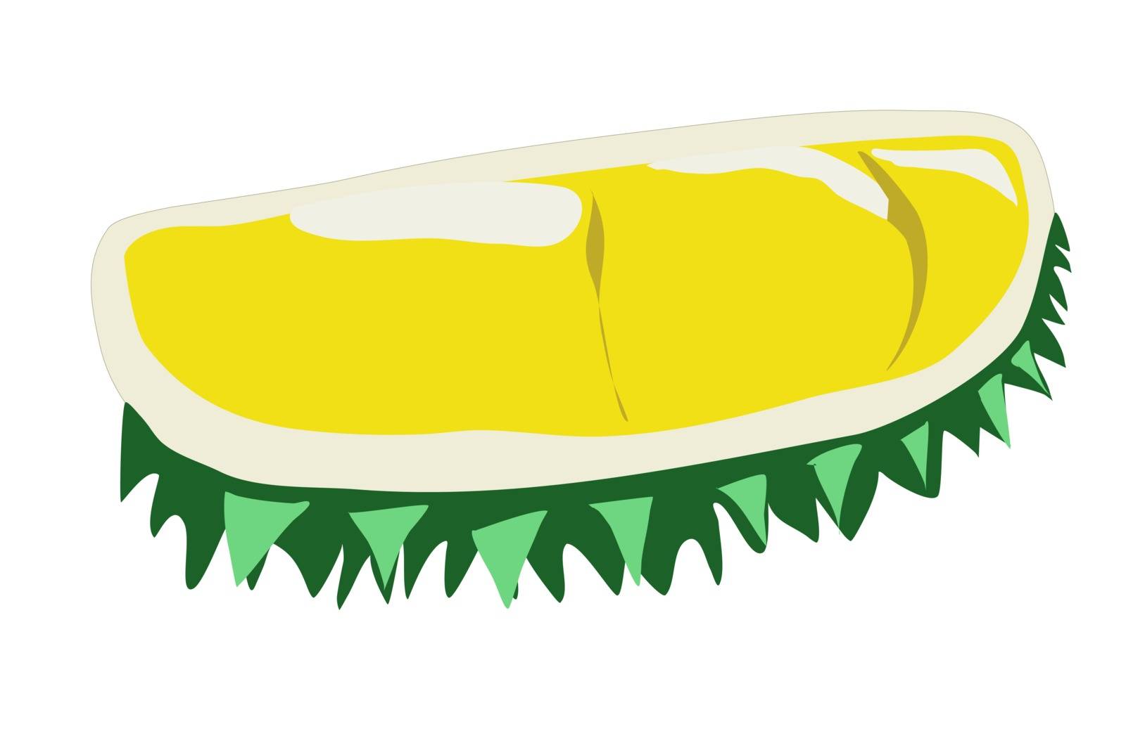 Durian Thai fruit isolate on white background. Vector illustration in flat style