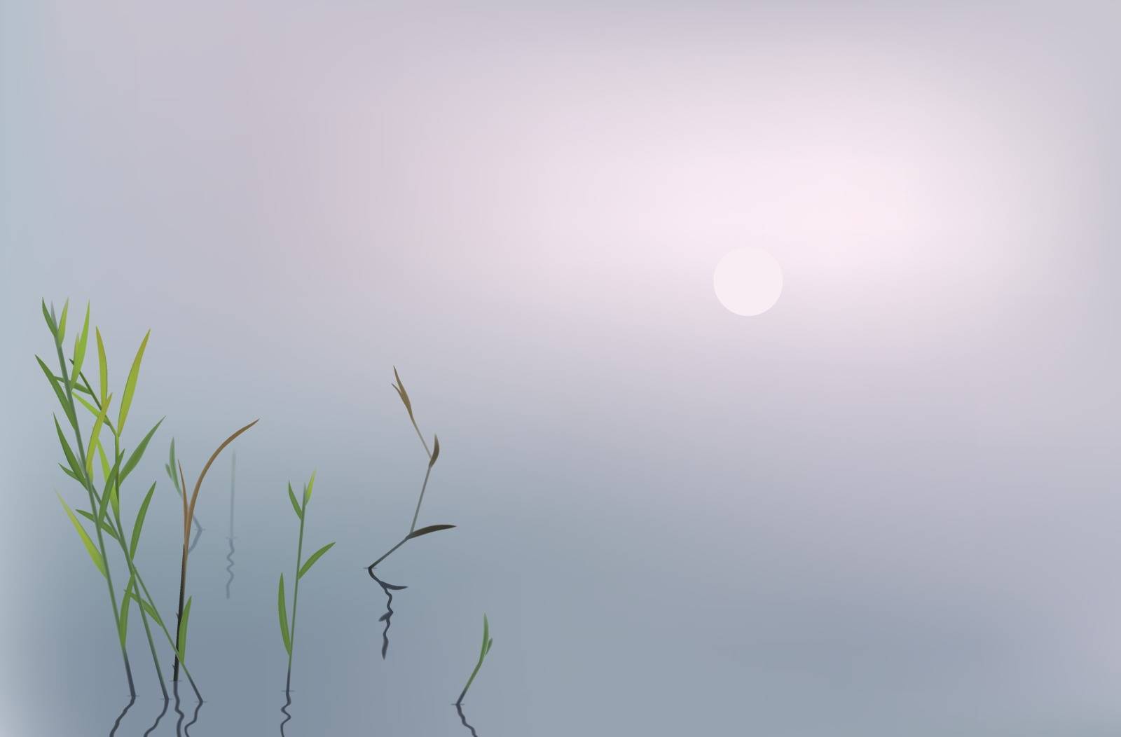 Foggy morning on a river or a lake - blurry landscape background with bulrush and copy space.