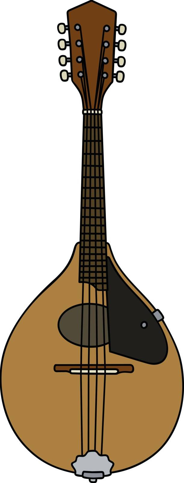 Hand drawing of a classic country mandolin