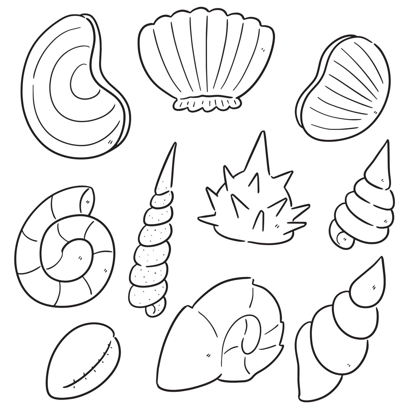 vector set of sea shell