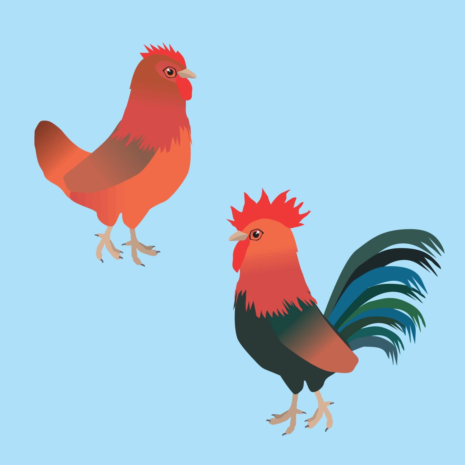 A vector illustration of a couple of chicken. It is a hen and a rooster of the breed Welsumer.