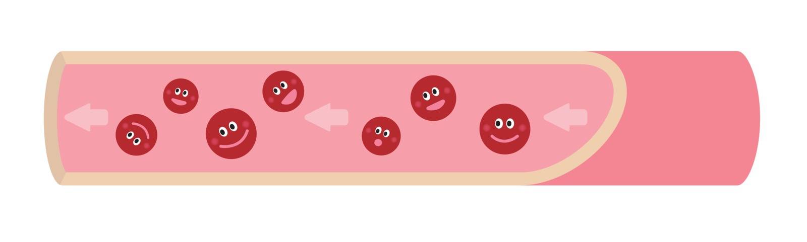Cartoon illustration of healthy blood vessel