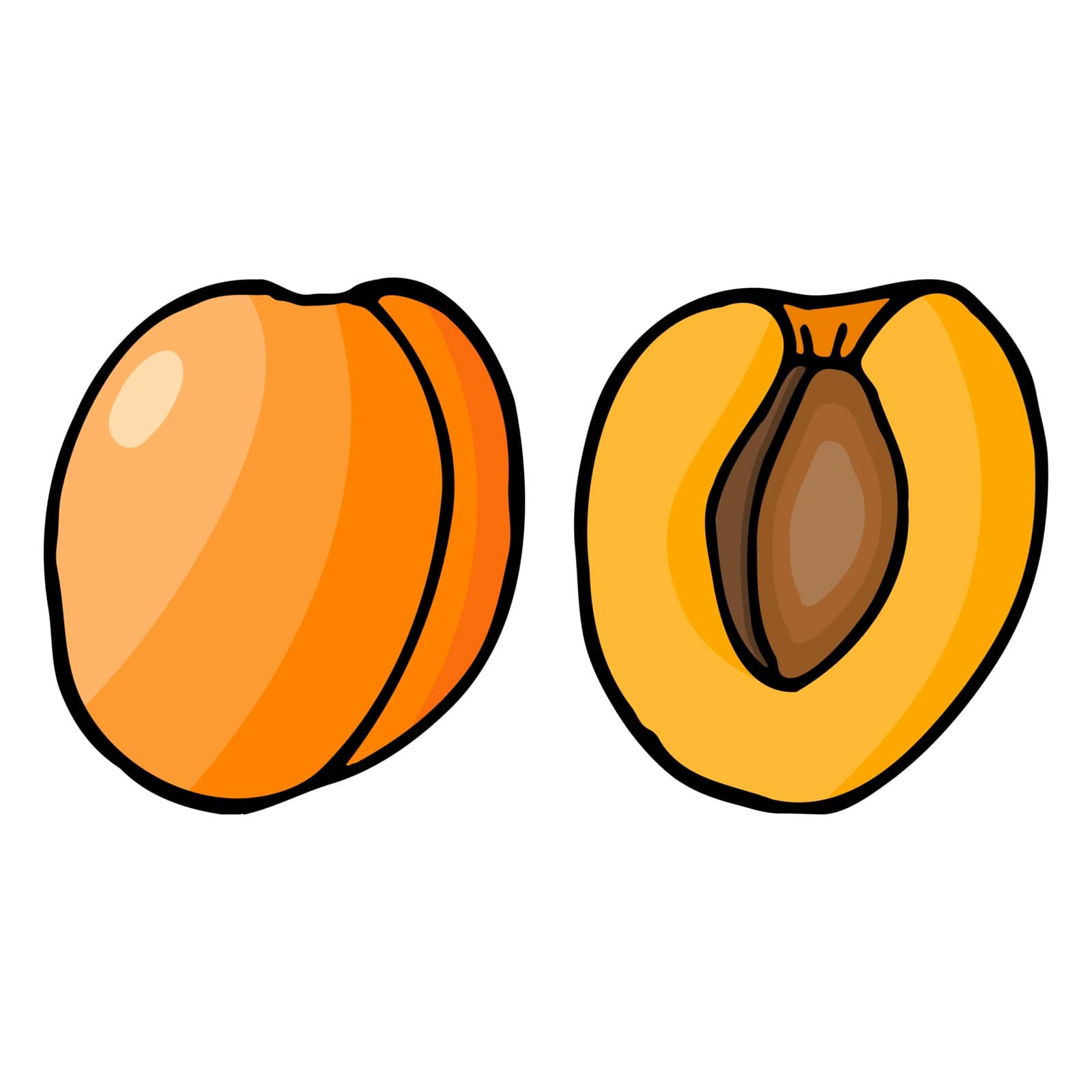 Apricot with kernel. Hand drawn outline doodle icon. Colorful isolated on white background. Vector illustration for greeting cards, posters, patches, prints for clothes, emblems.