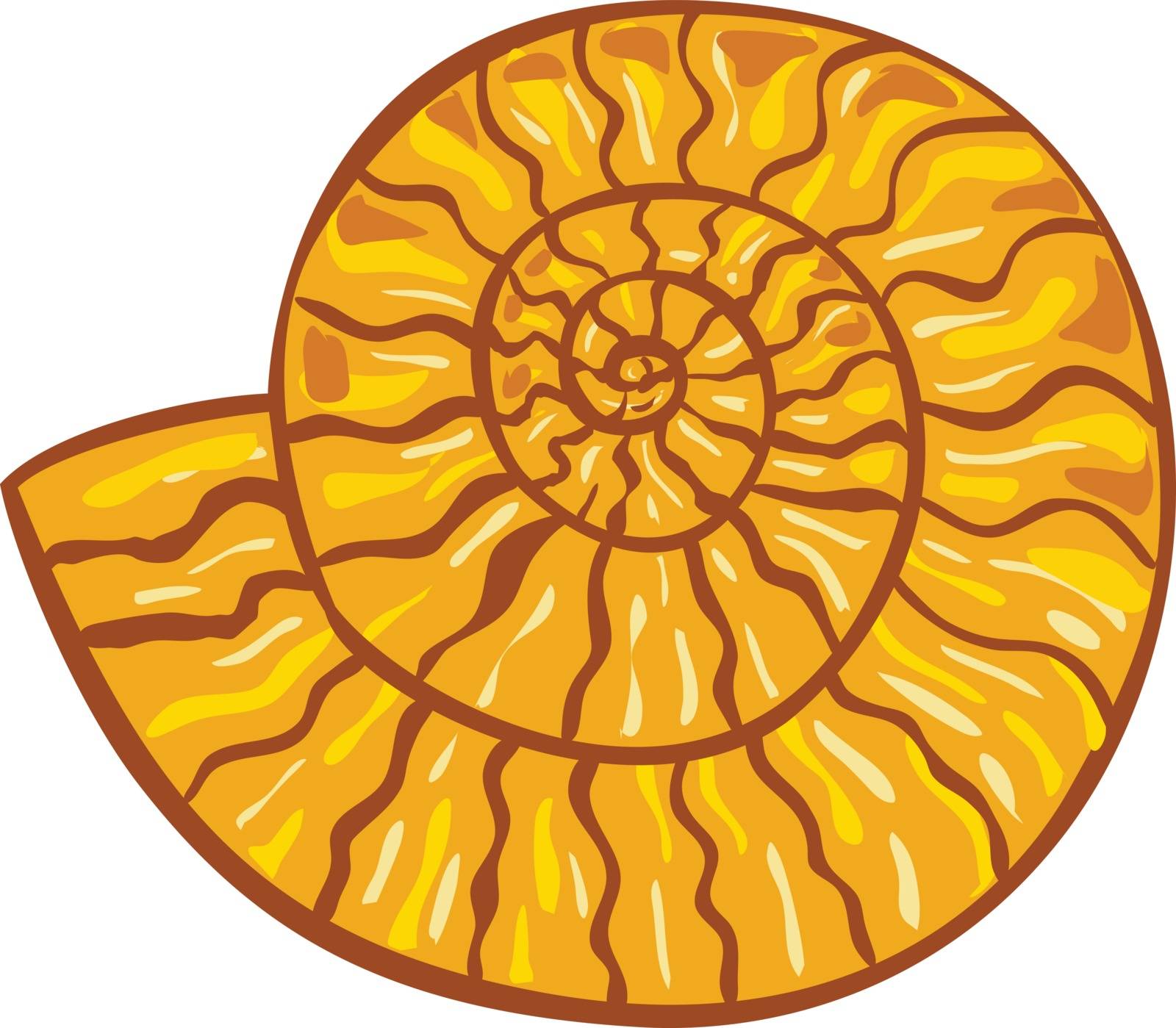 Ammonite Retro by patrimonio