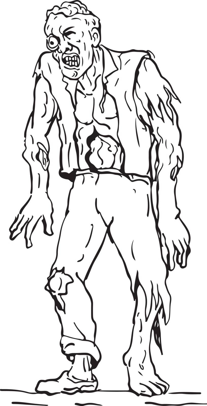 Drawing sketch style illustration of zombie, a fictional undead being created through the reanimation of a human corpse, walking viewed from front.