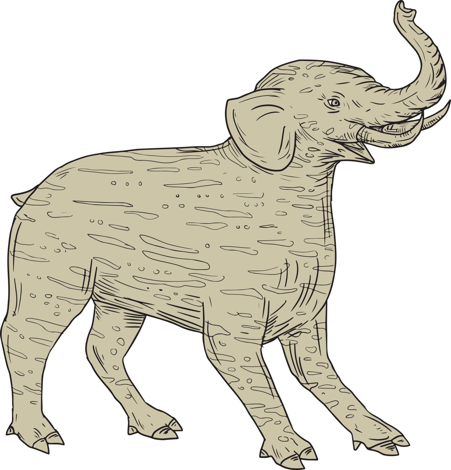 Drawing sketch style illustration of a Baku, a Chinese and Japanese Folklore tapir-like creature with elephantine tusks and trunk and with striped fur viewed from the side set on isolated white background. 