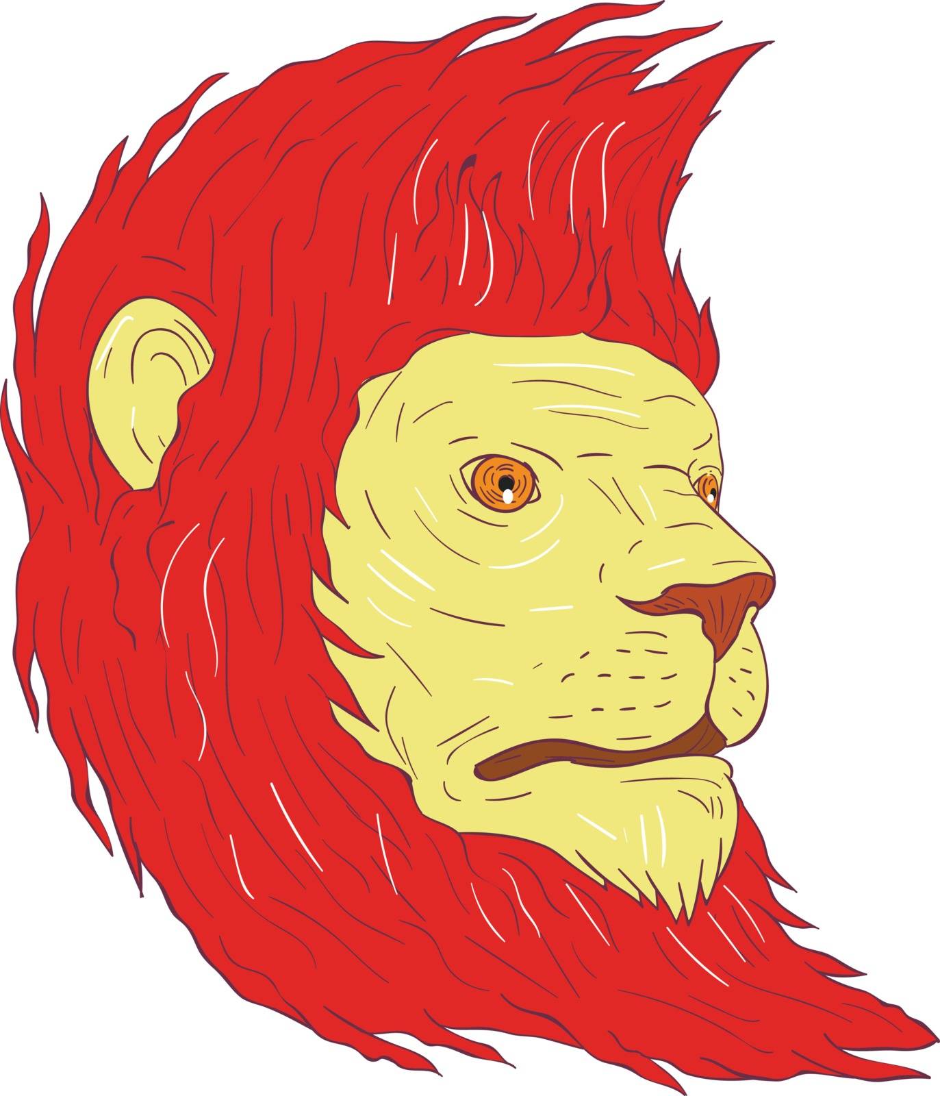 Drawing sketch style illustration of a lion with flowing mane looking to the side set on isolated white background. 