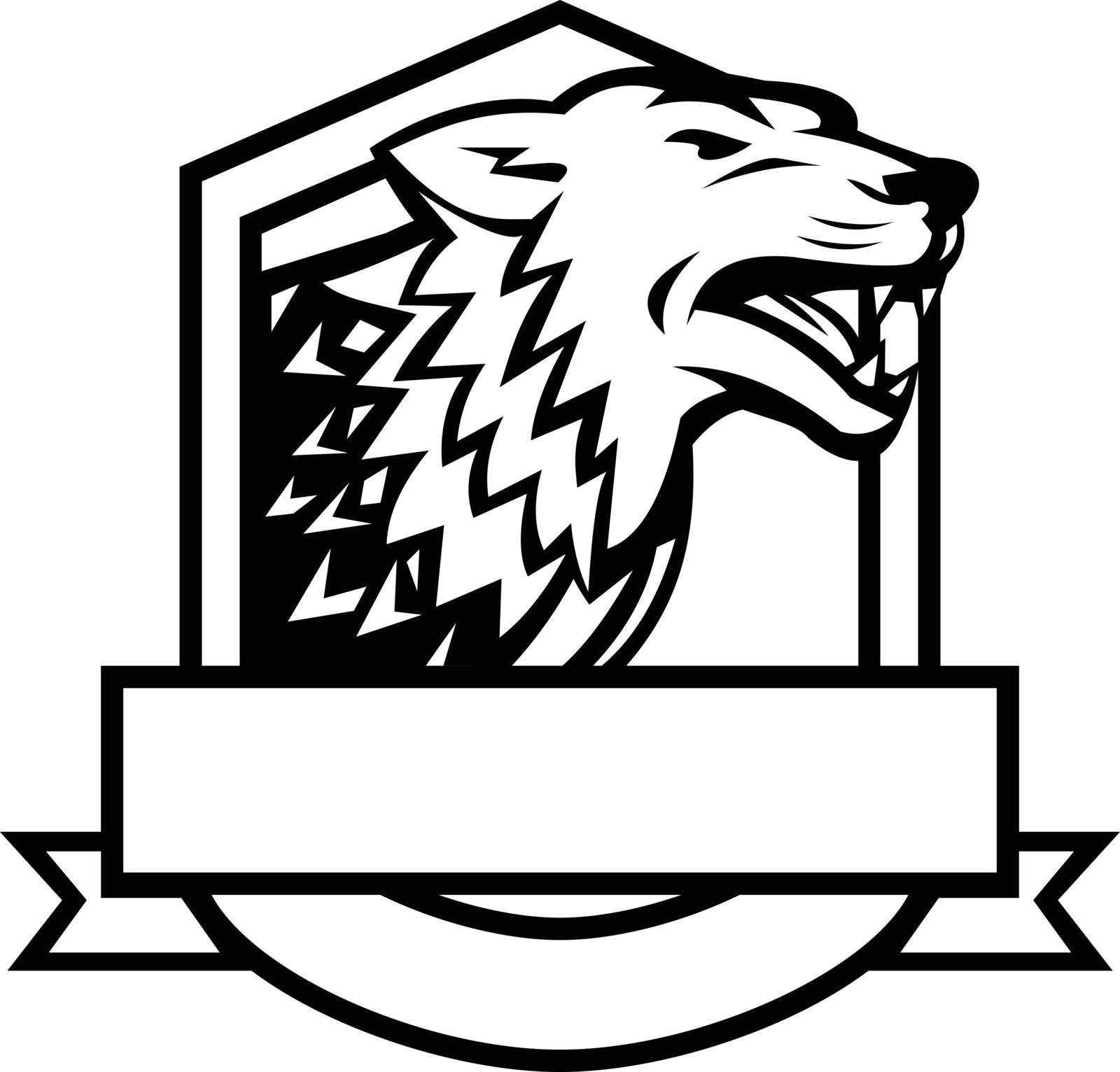 Retro style illustration of an angry wolf growling set inside crest shield with banner done in black and white on isolated background.