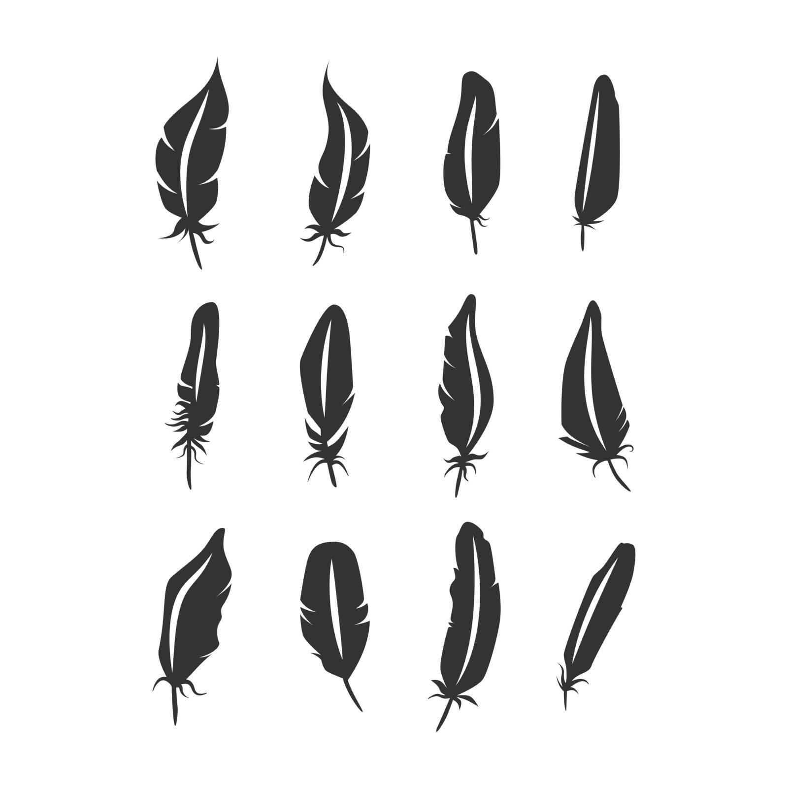 Bird feathers black silhouette icon set by cveivn