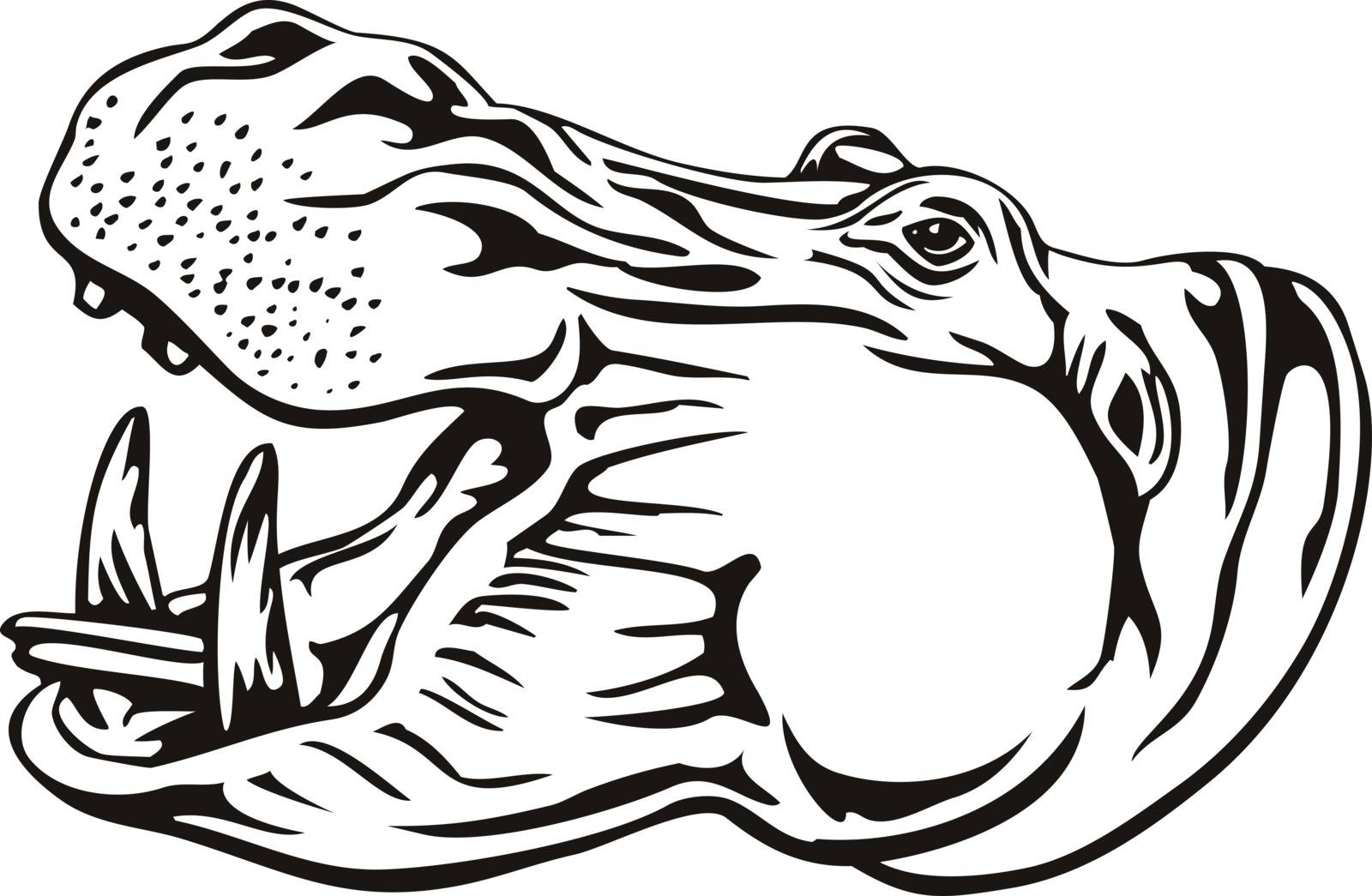 Retro woodcut style illustration of head of a hippopotamus, hippo, common hippopotamus or river hippopotamus, a large herbivorous, semiaquatic mammal ungulate isolated background in black and white.