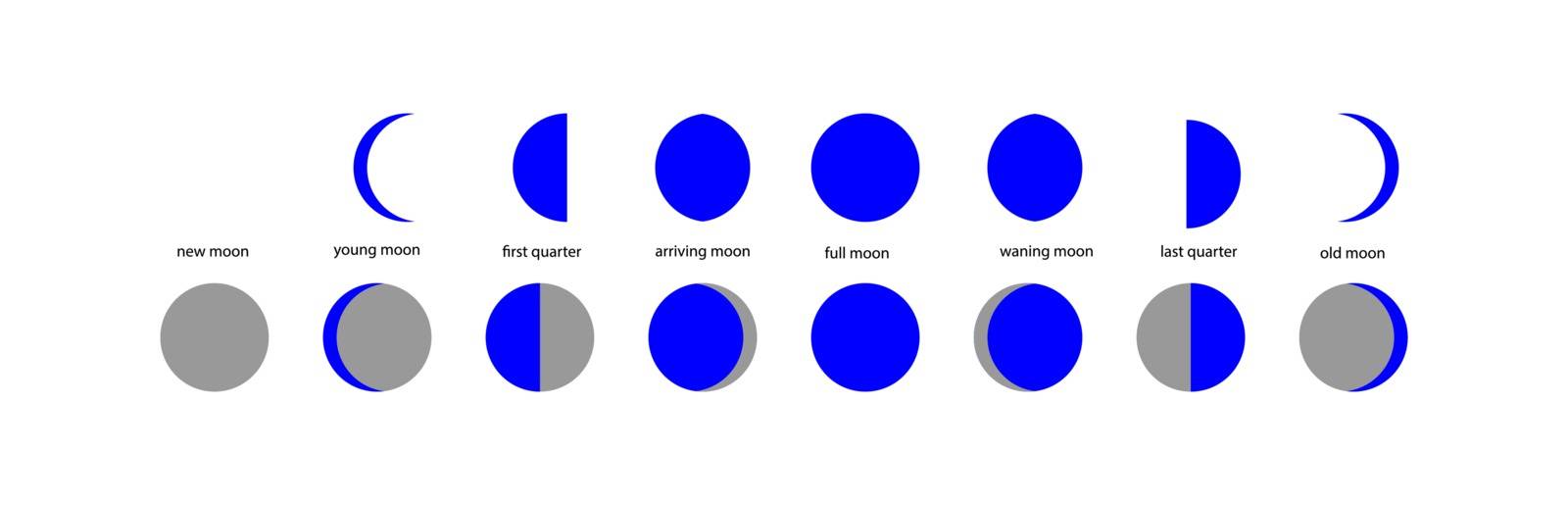 Set of simple illustrations of moon phases with text explanation 