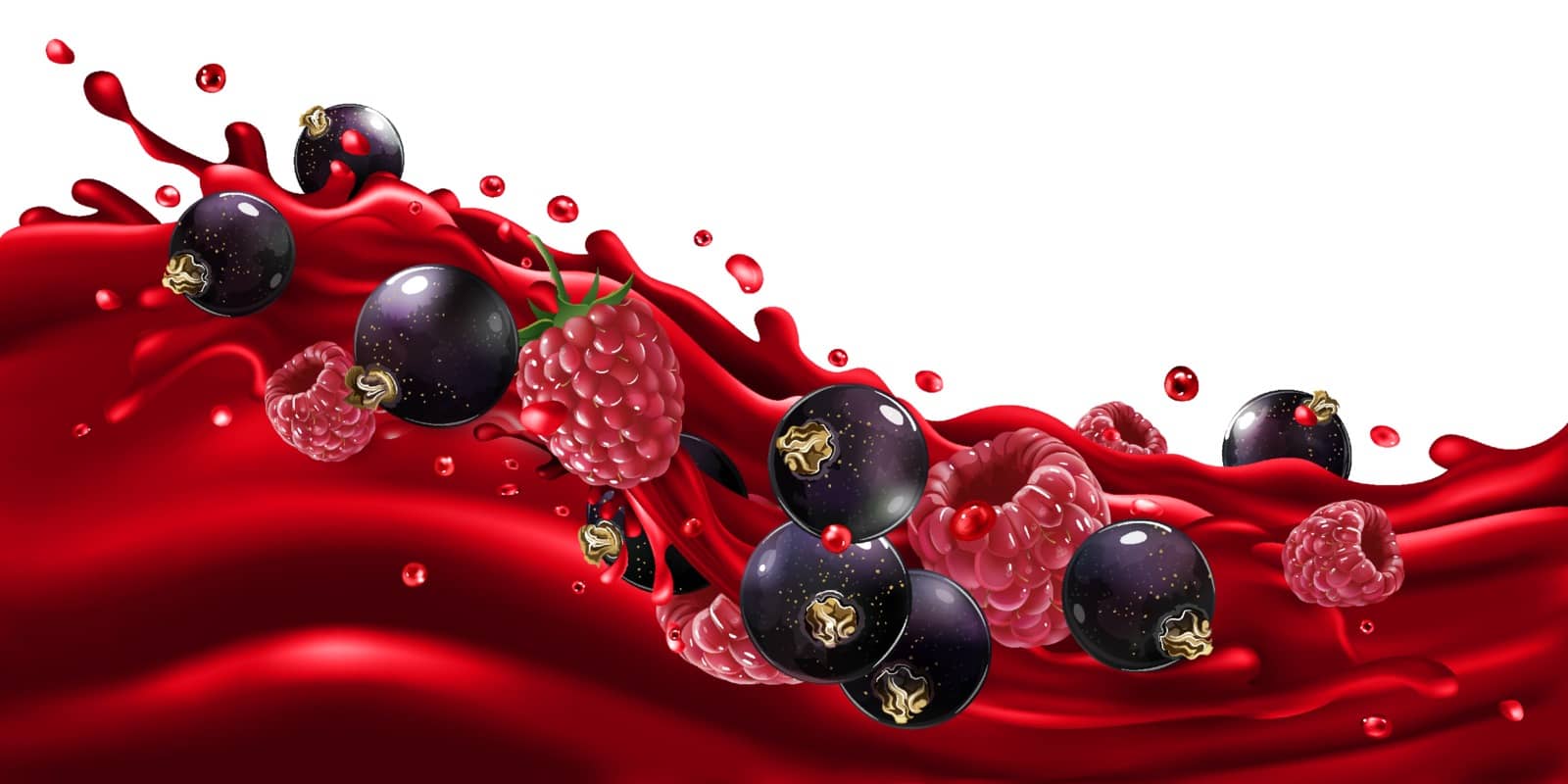 Fresh black currant and raspberry on a wave of fruit juice. Realistic vector illustration.