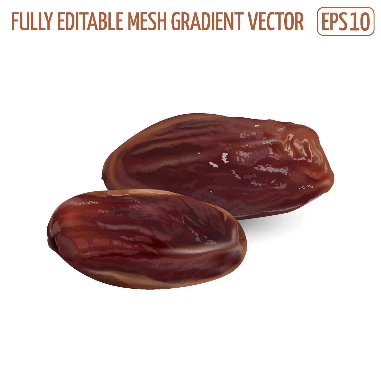 Dried date palm fruits on a white background. Realistic vector illustration.