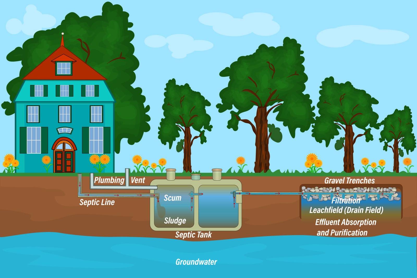 Mobile home septic system and drain field scheme. Underground septic system diagram. by KajaNi
