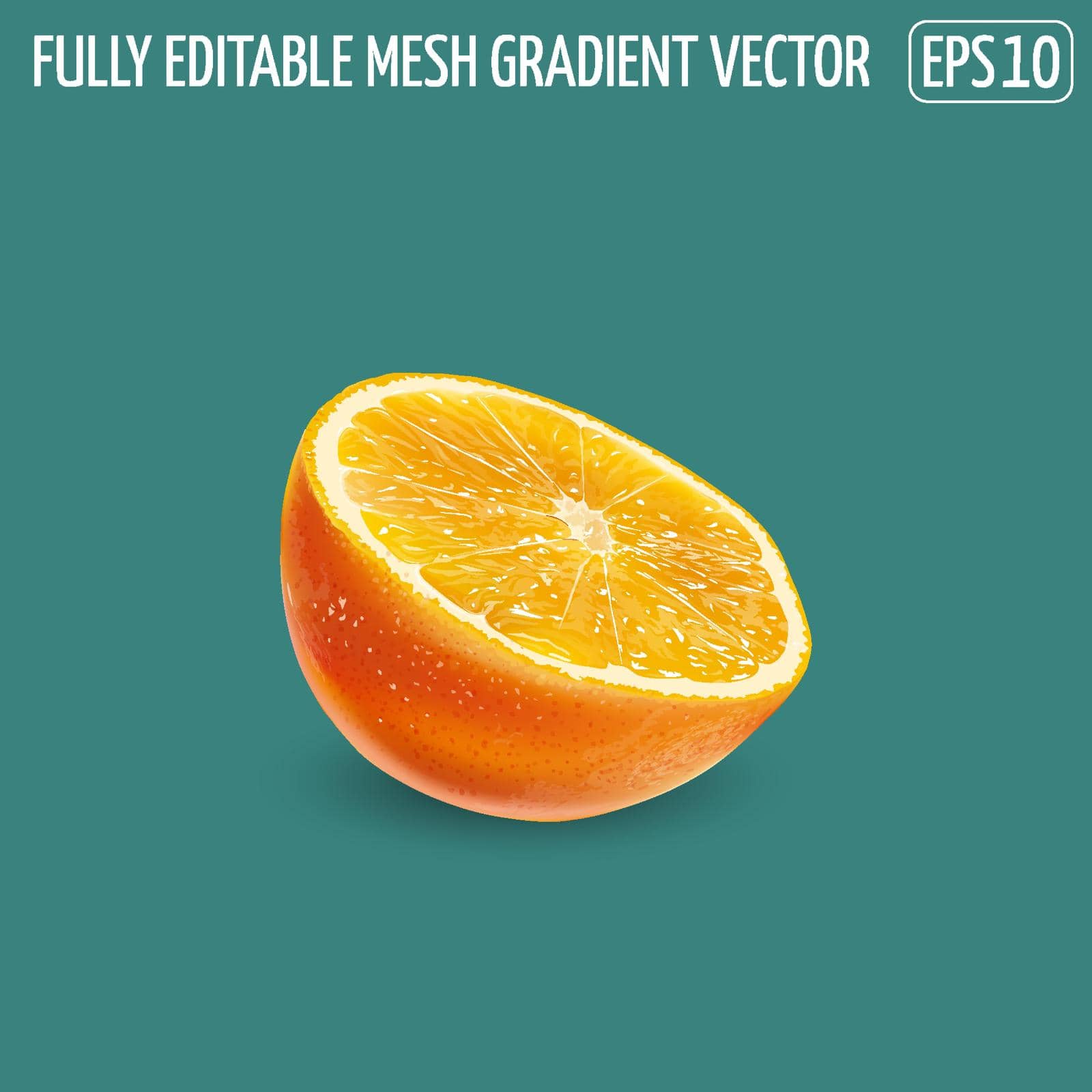 Fresh juicy orange - healthy food design. Realistic vector illustration.