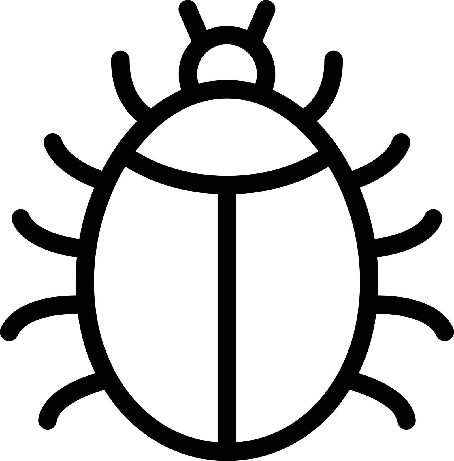 insect vector thin line icon