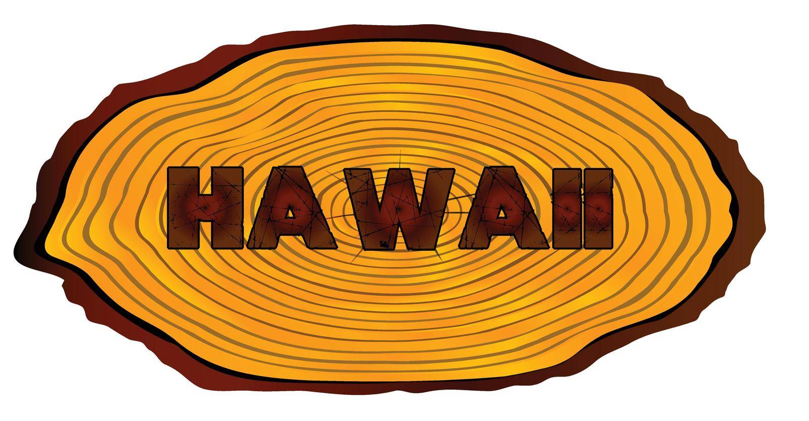 A section of a sawn log with the words HAWAII over a white background