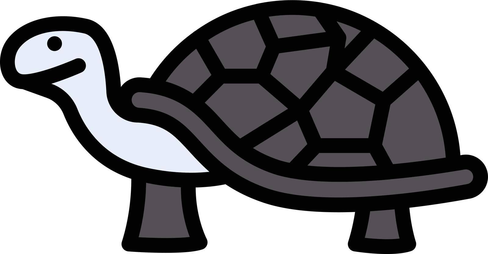 turtle vector line colour icon