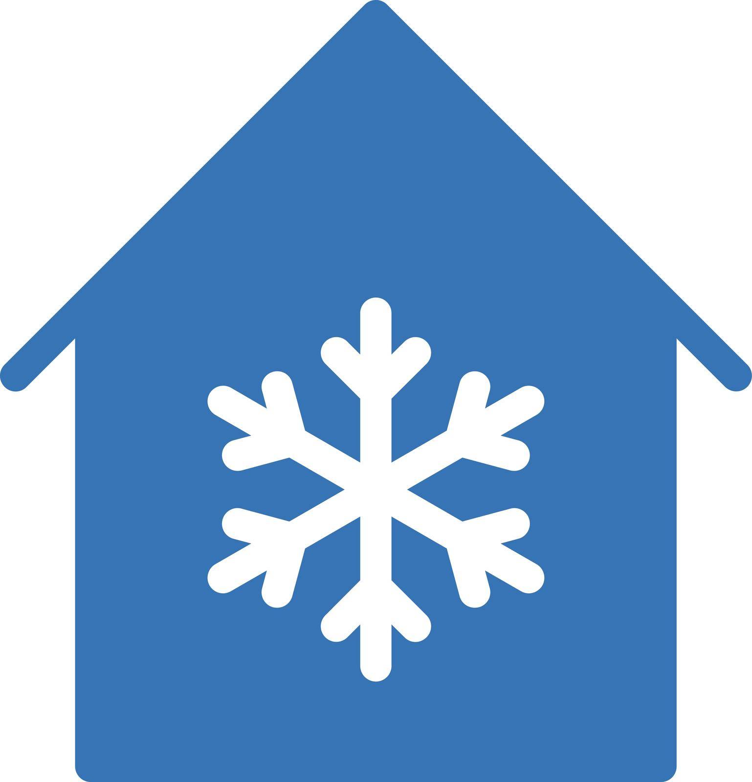 snowflake vector glyph colour icon
