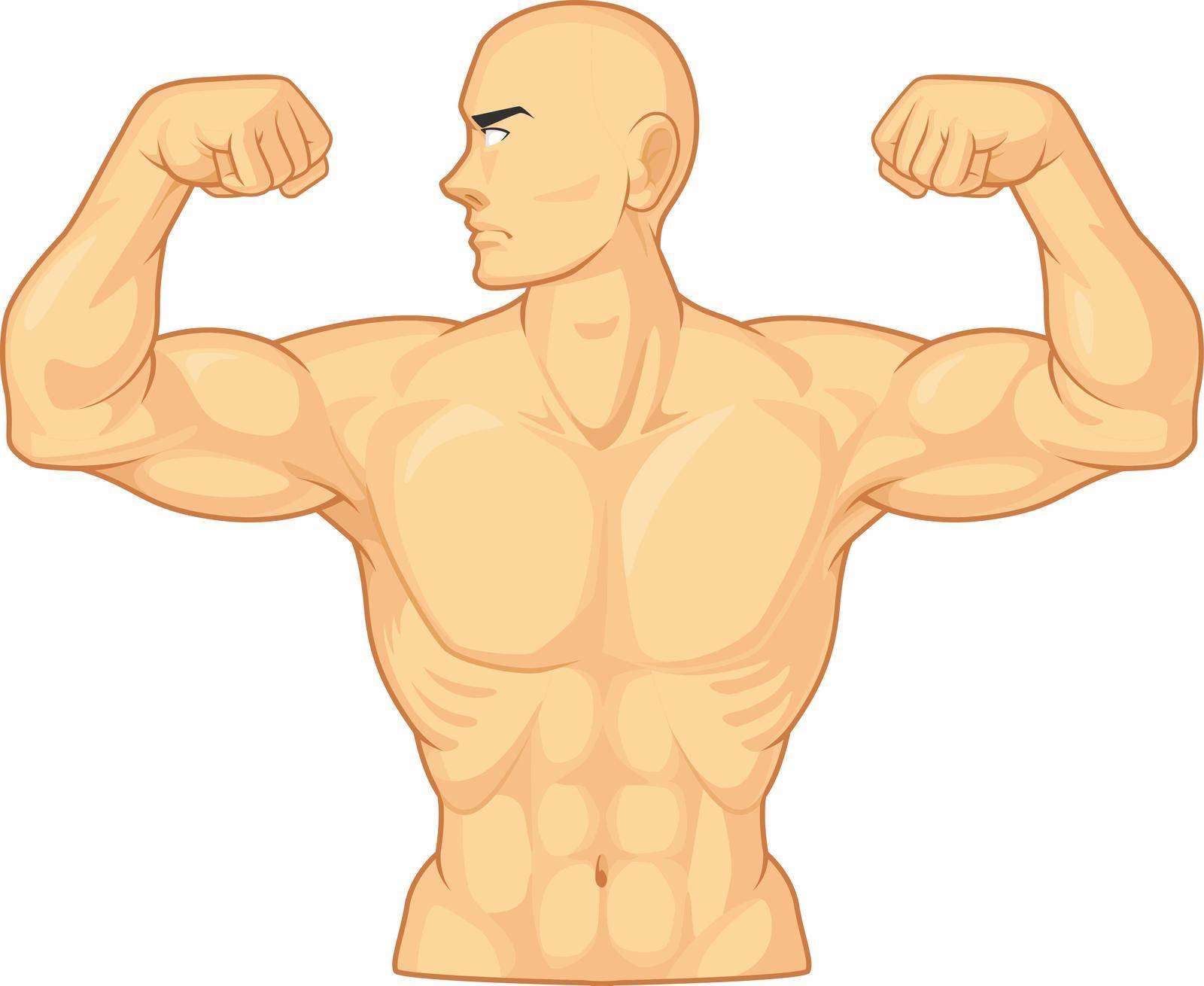 Bodybuilder Flexing Arm Bicep Muscle Cartoon Vector Drawing Isolated