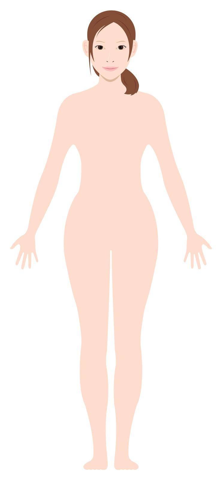 Standing woman's  nude body silhouette / outline shape vector  illustration