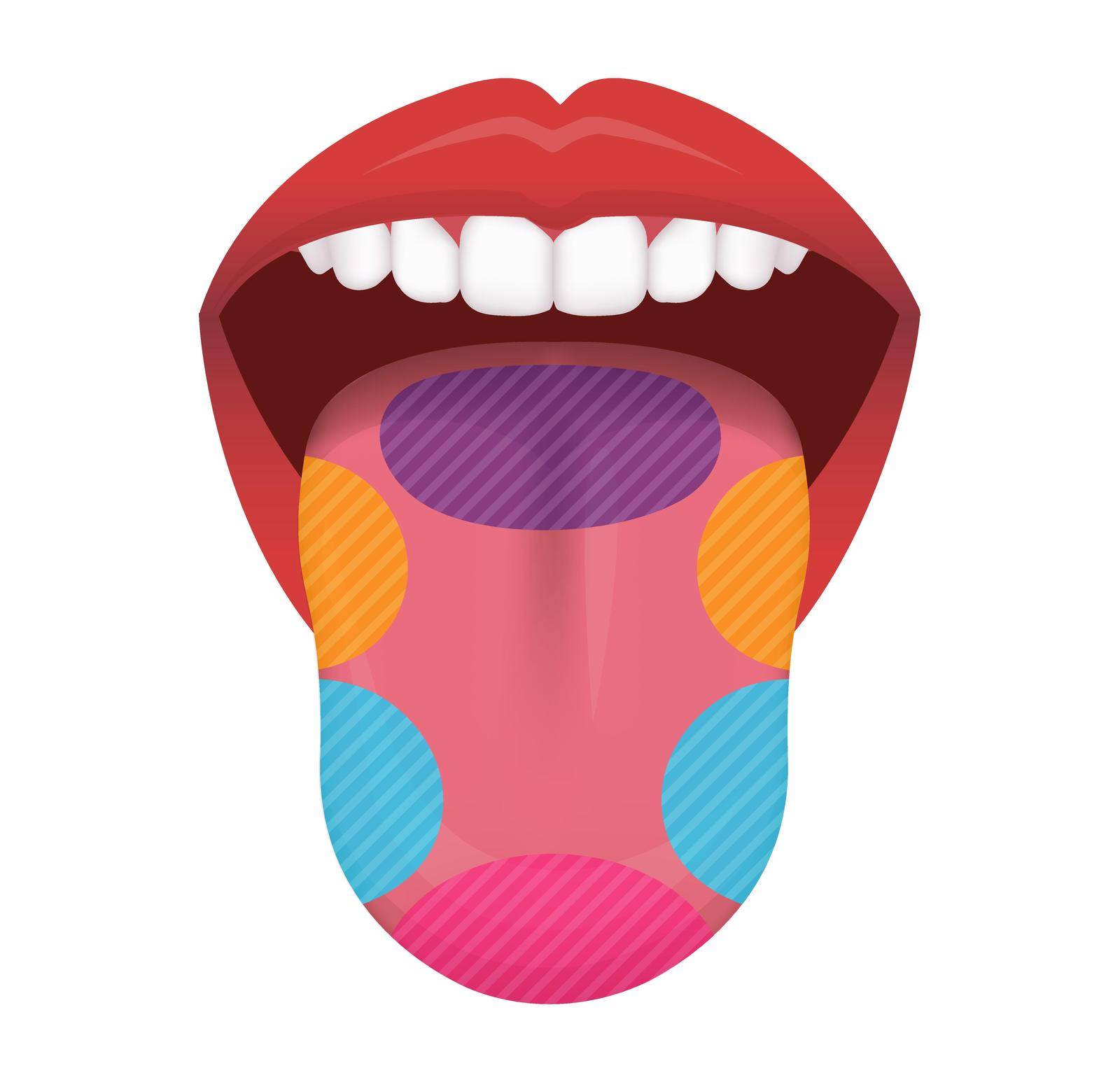 Taste areas of human tongue vector illustration by barks