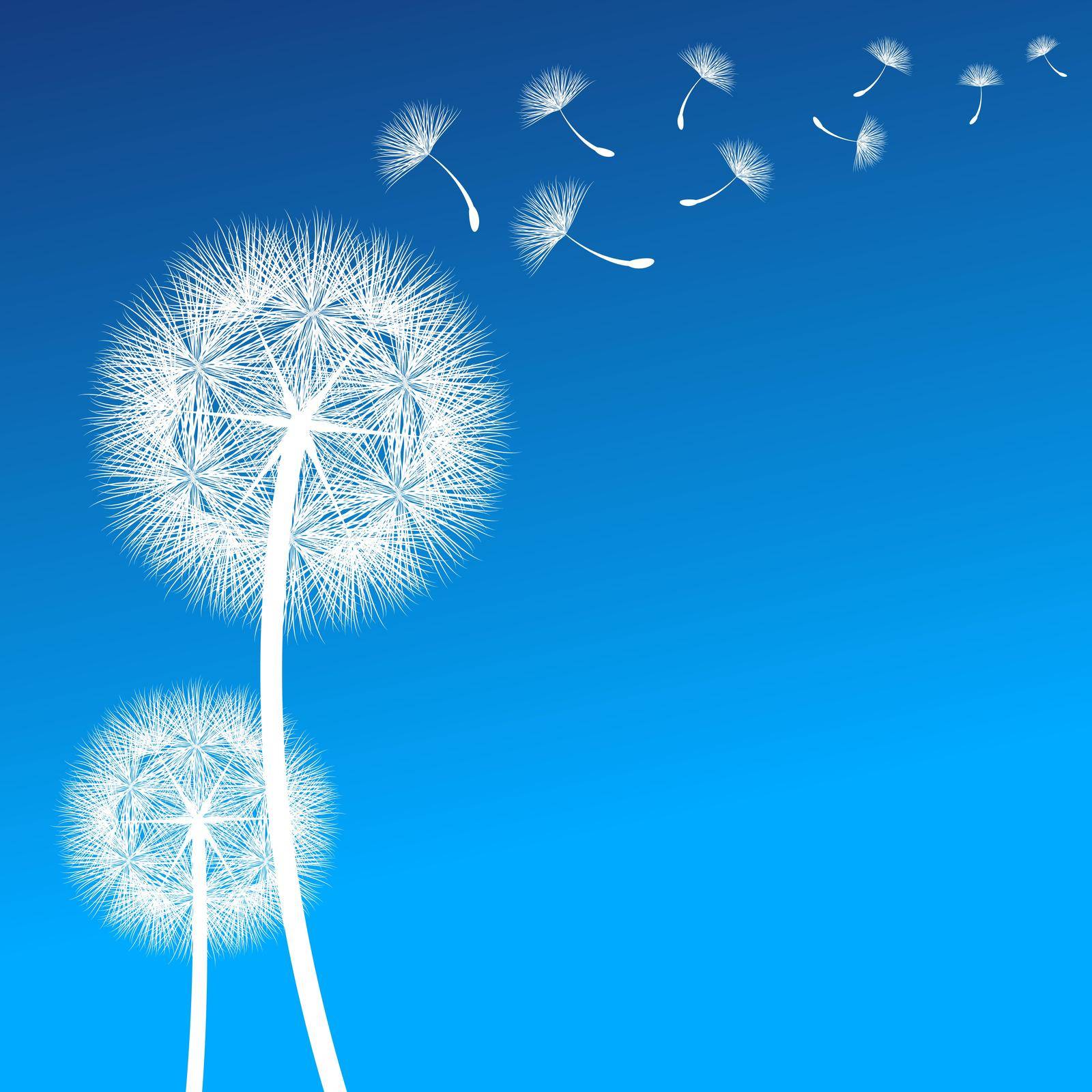 vector dandelion on a wind loses the integrity