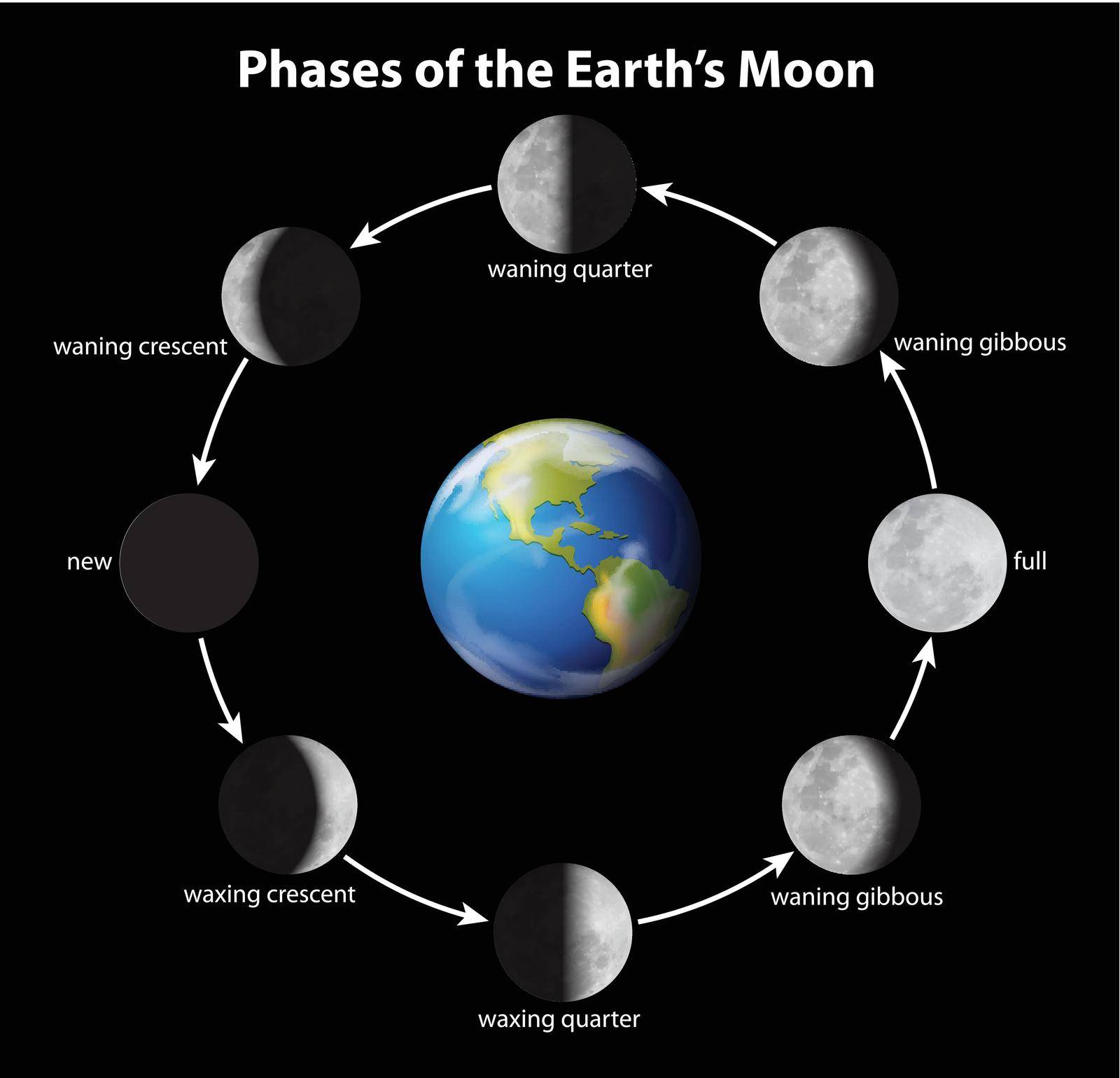 Phases on the Moon as seen from Earth