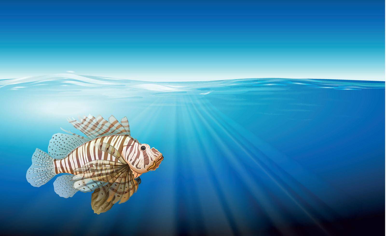 Illustration showing the lionfish