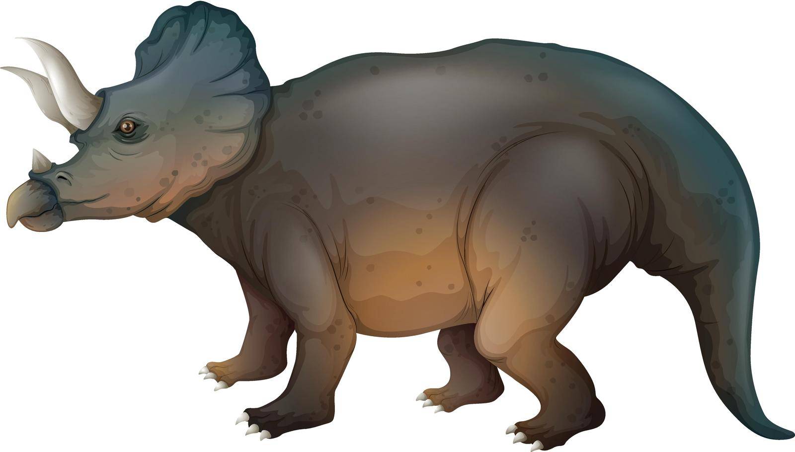Illustration showing a triceratops