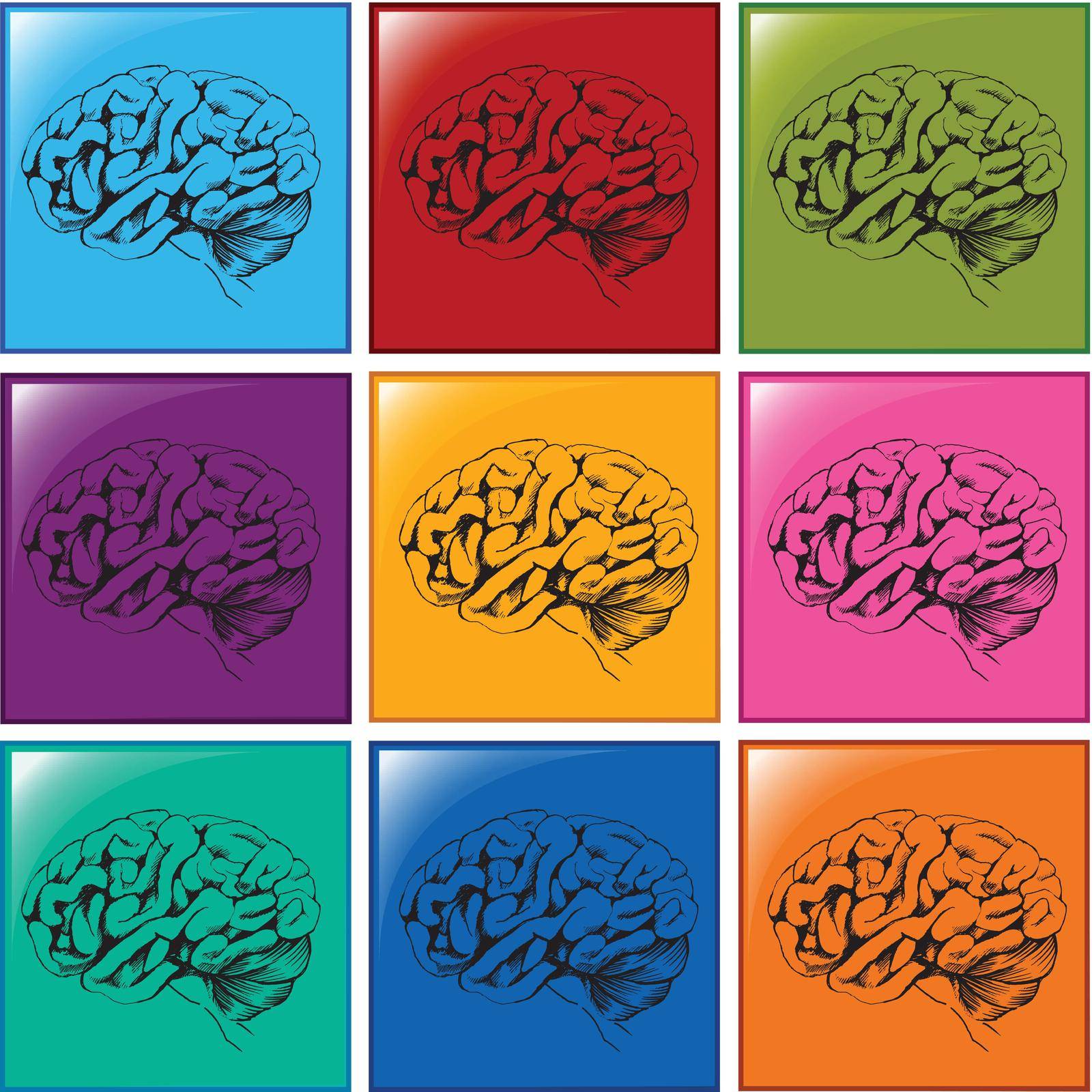 Illustration of the brain icons on a white background