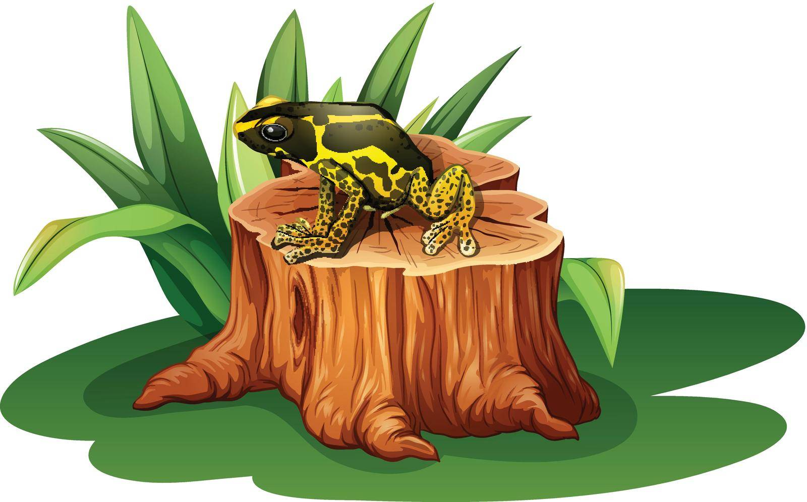 Illustration of a frog above the stump on a white background