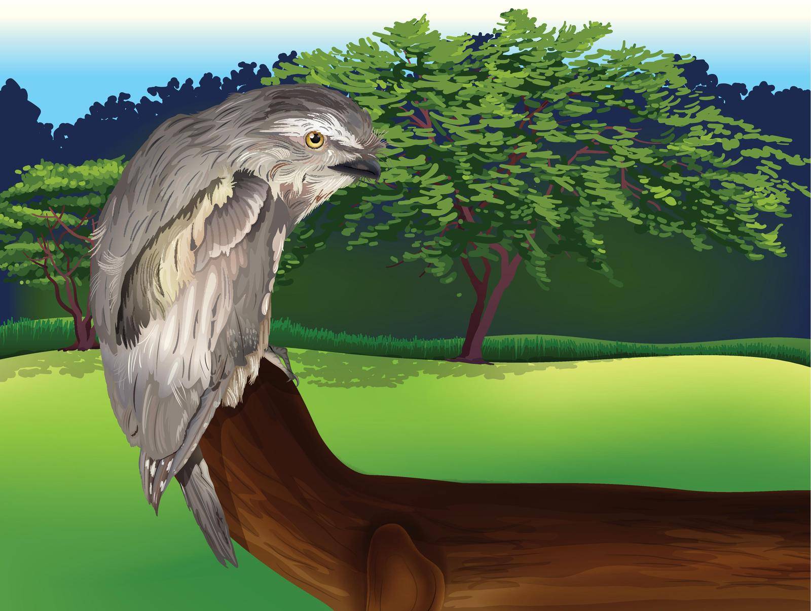 Illustration of a wild bird