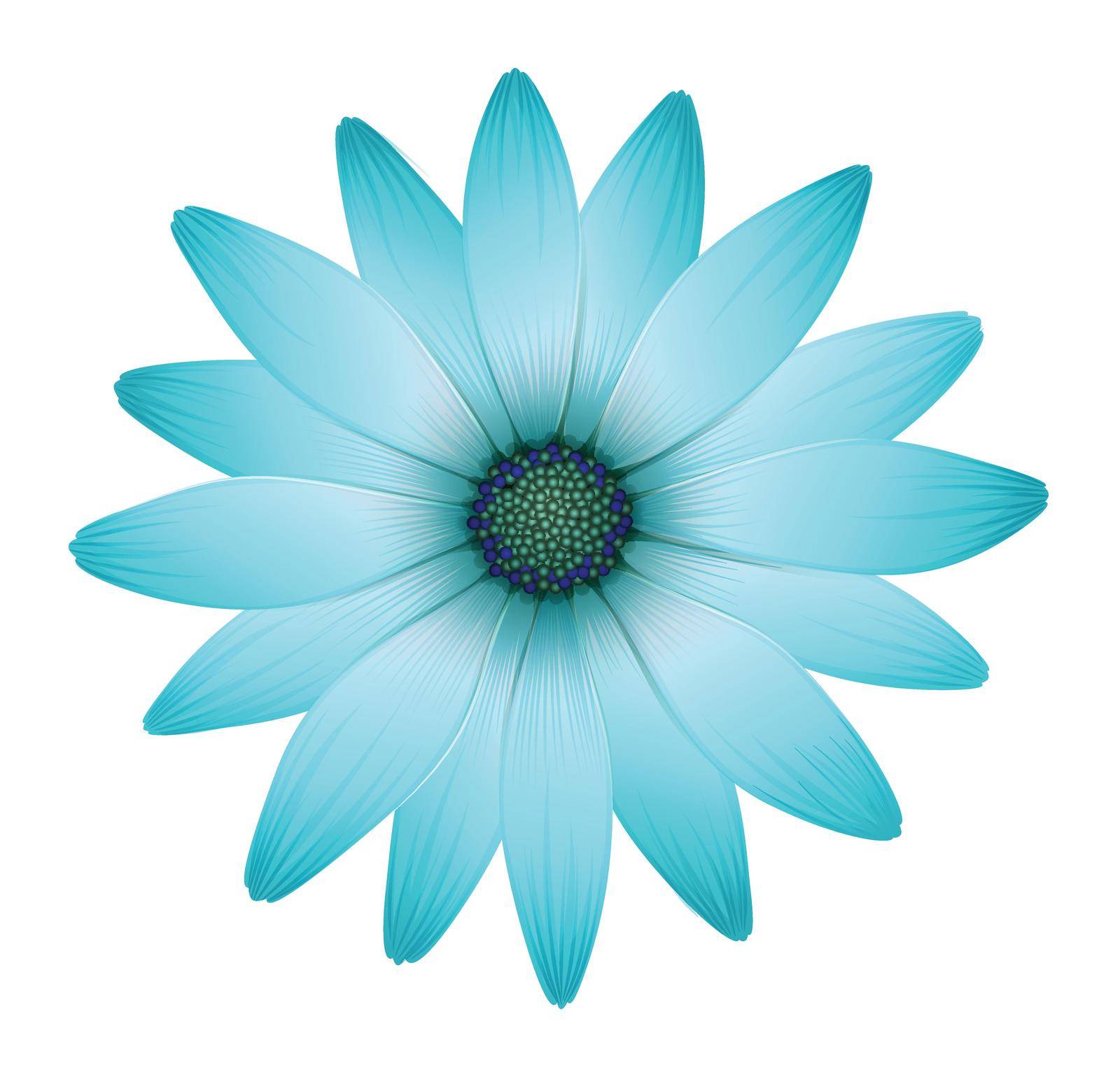Illustration of a beautiful flower on a white background