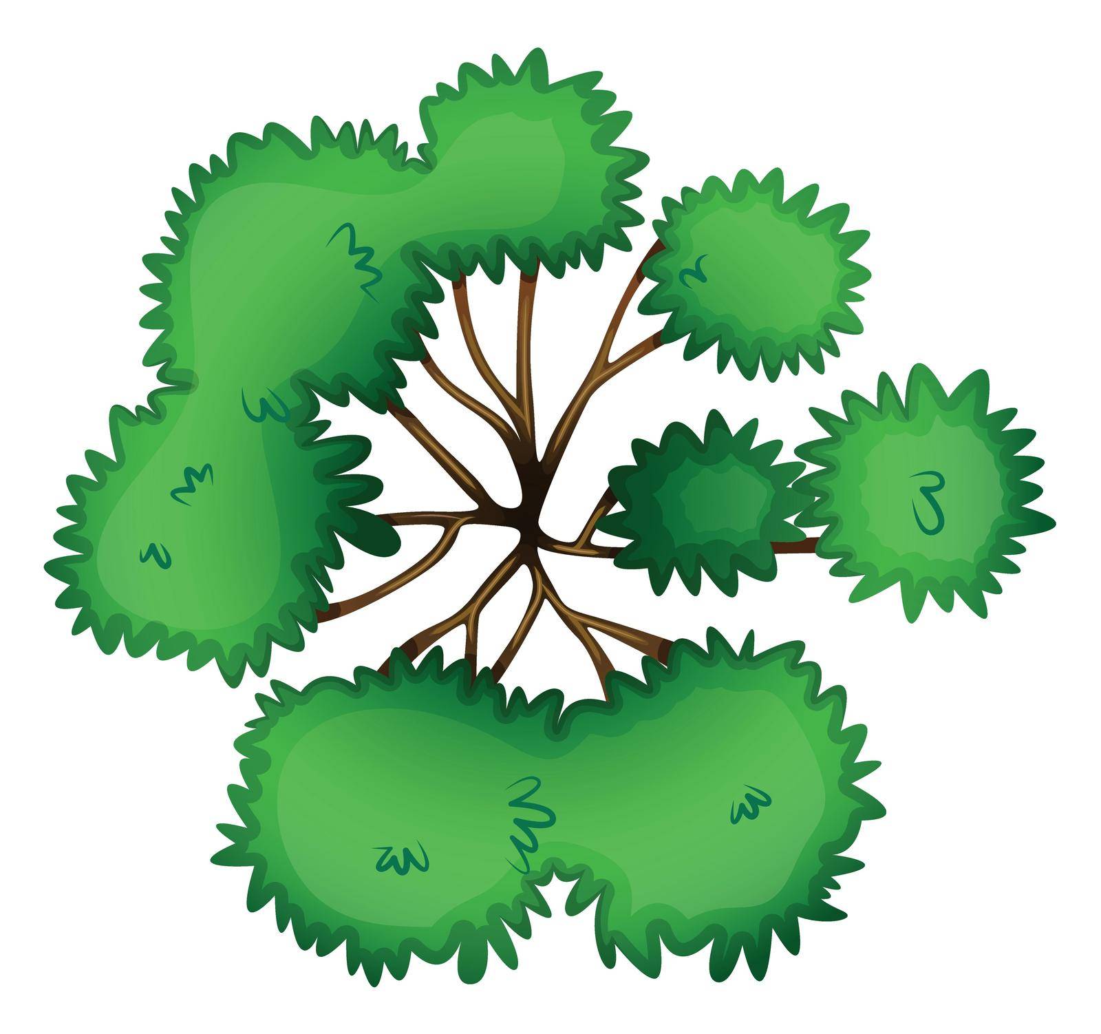 Illustration of a topview of a tree on a white background