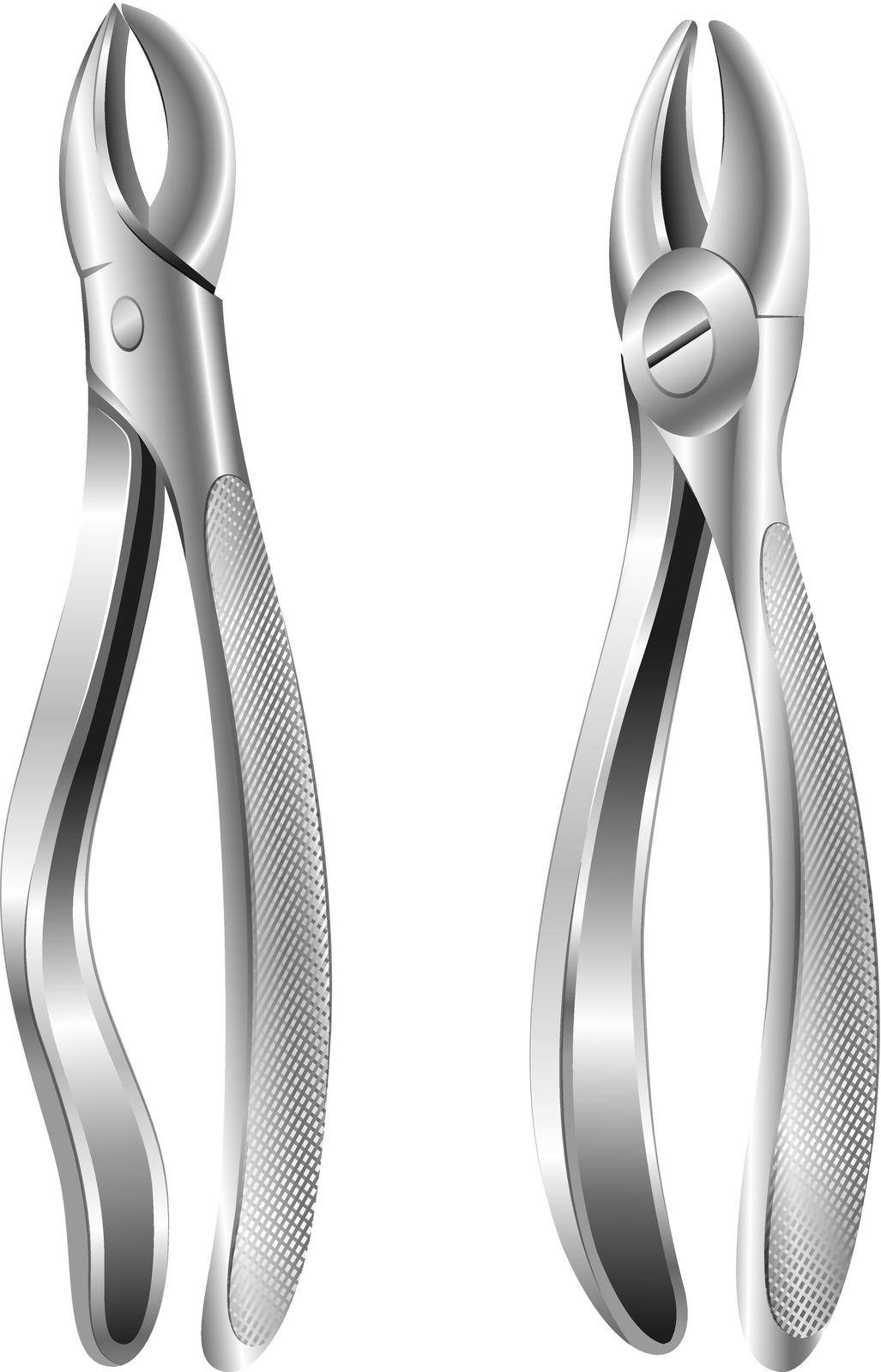 Illustration of the stainless dental pliers on a white background