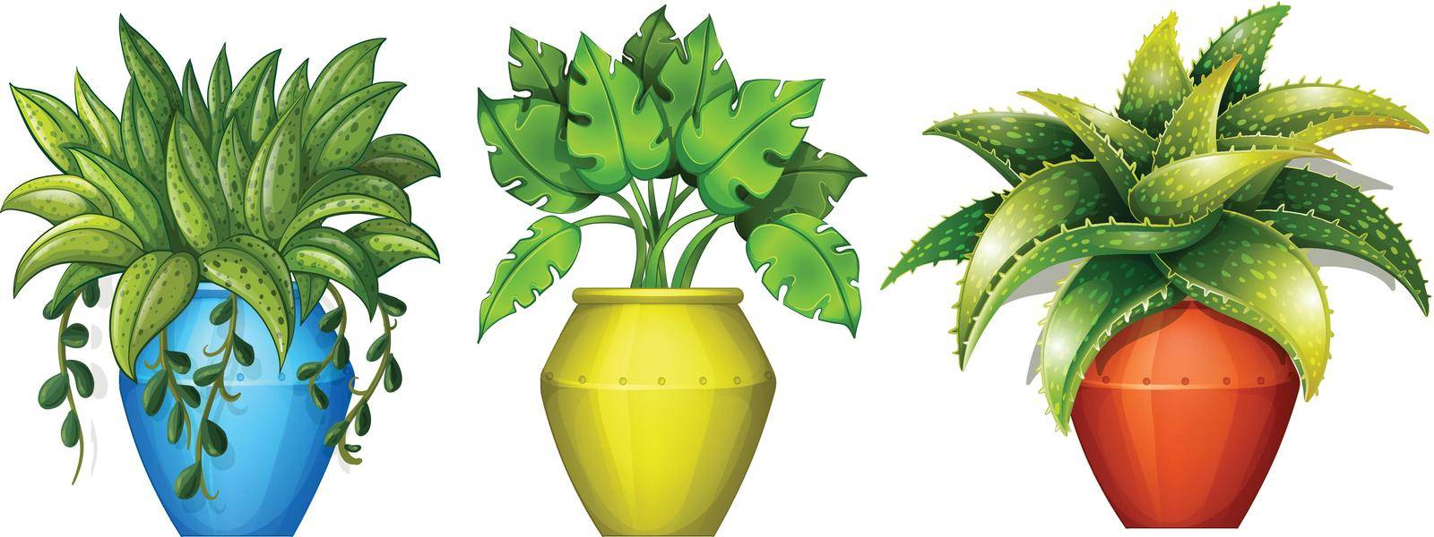 Illustration of the plants in the pot on a white background