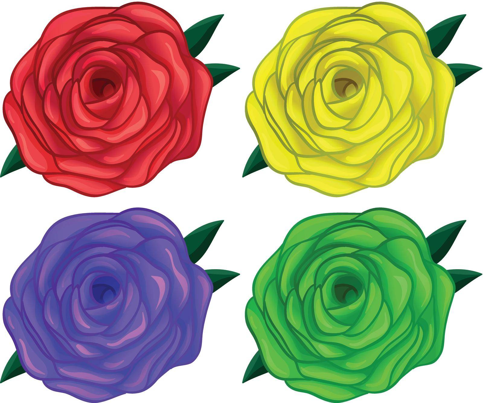 Four colorful roses by iimages
