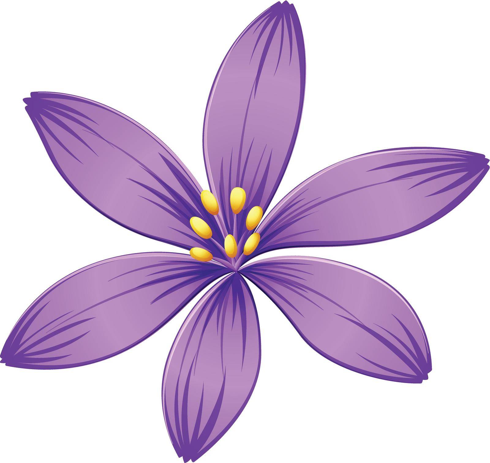 Illustration of a five-petal purple flower on a white background