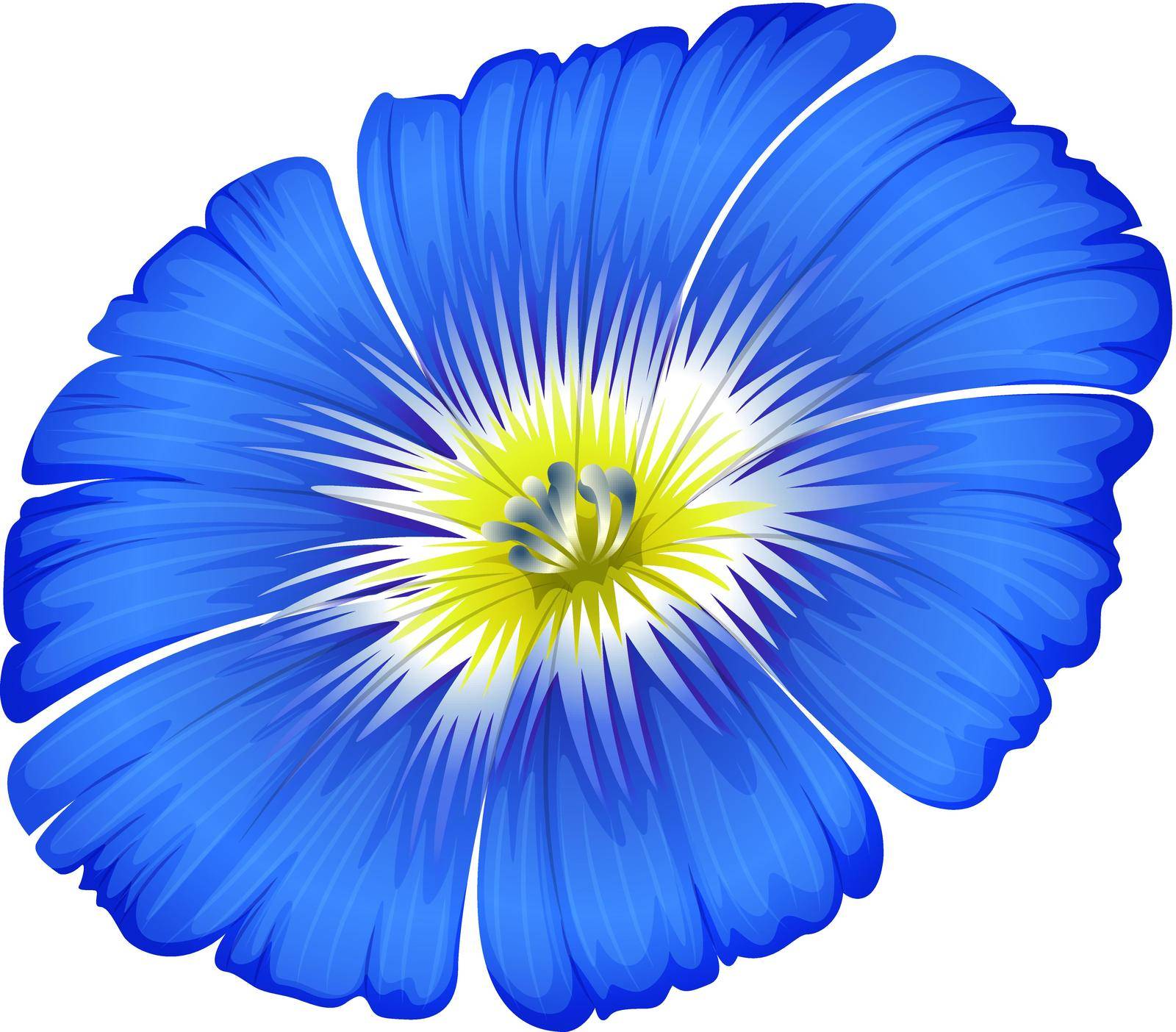 Illustration of a blue blooming flower on a white background