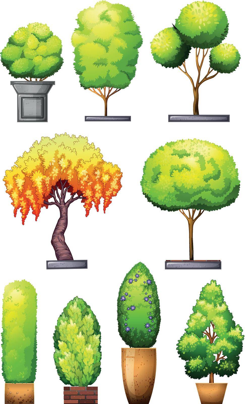 Sets of decorative plants on a white background