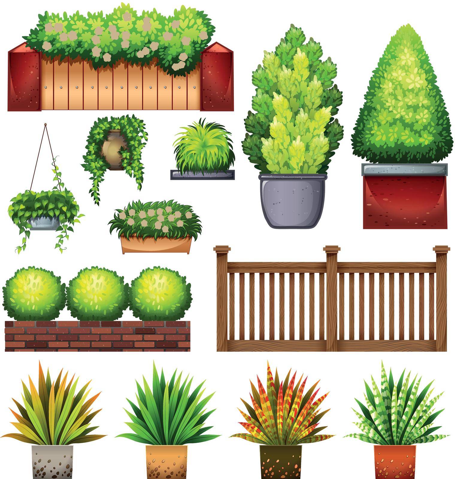 Set of different plants on a white background