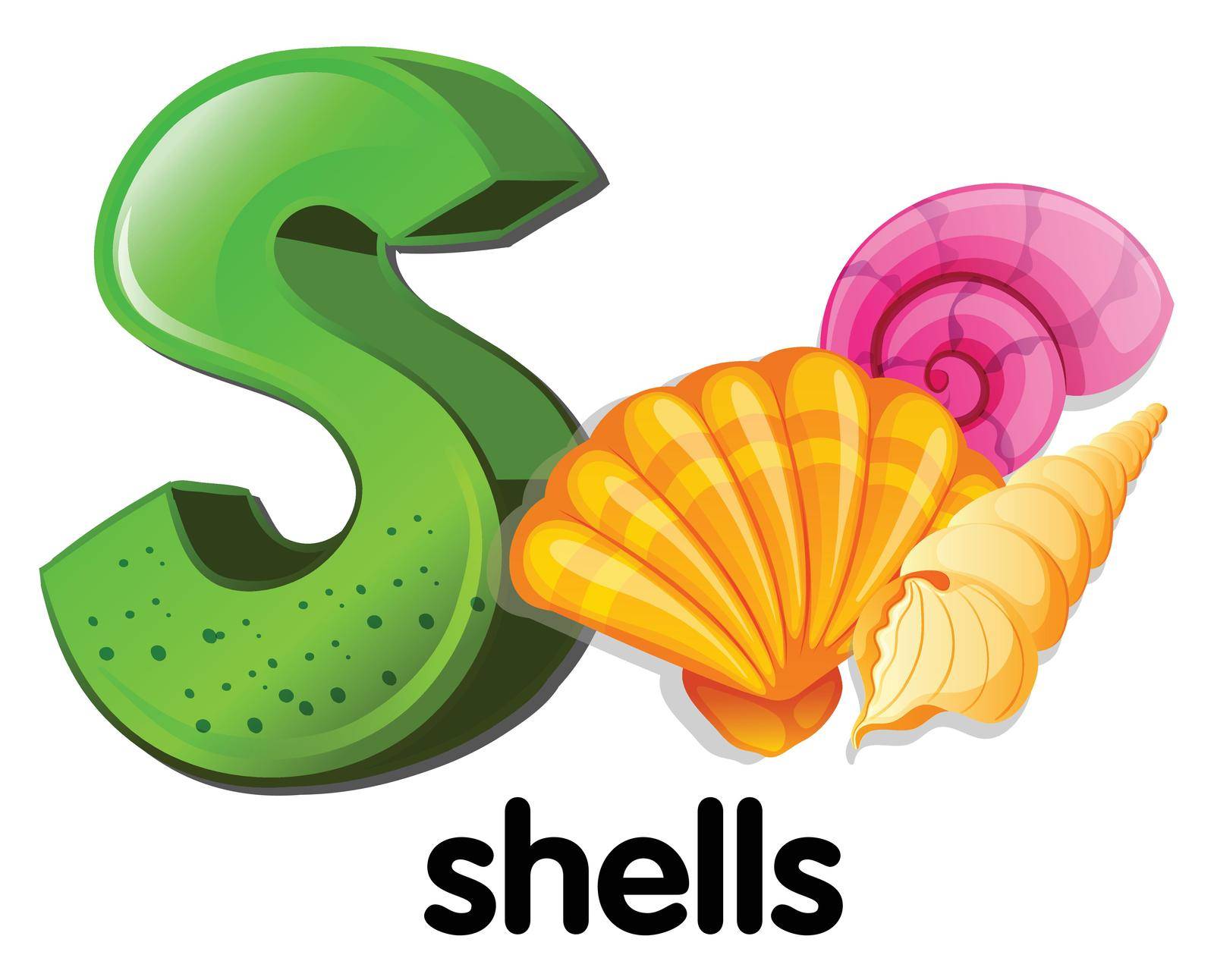 Illustration of a letter S for shells on a white background