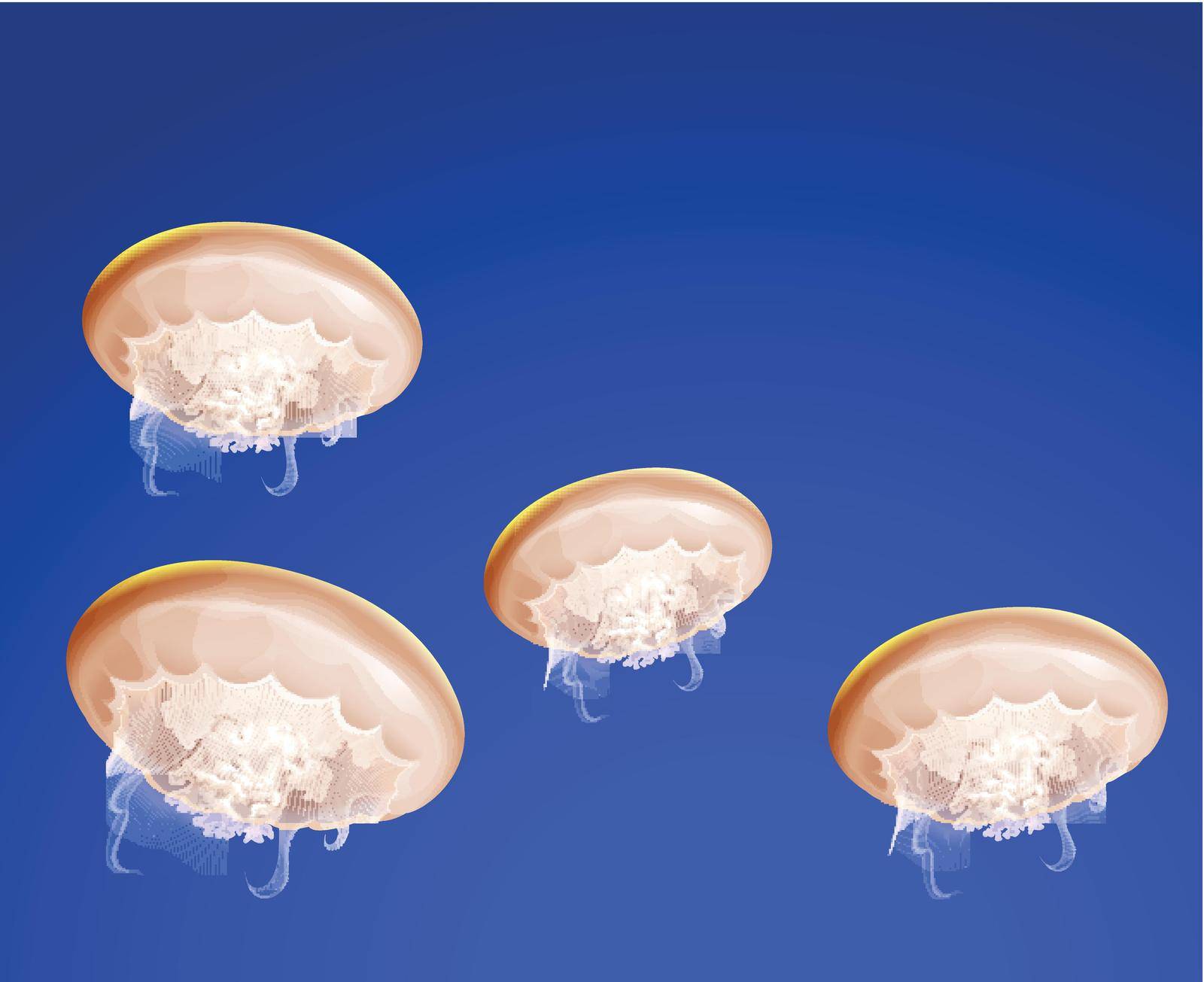 Illustration of beautiful jellyfish swimming