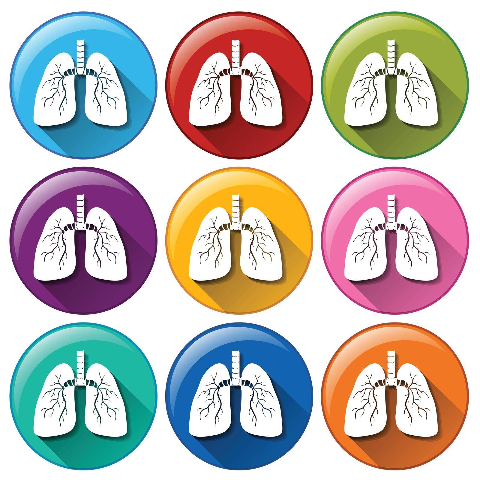 Buttons with lung organ on a white background