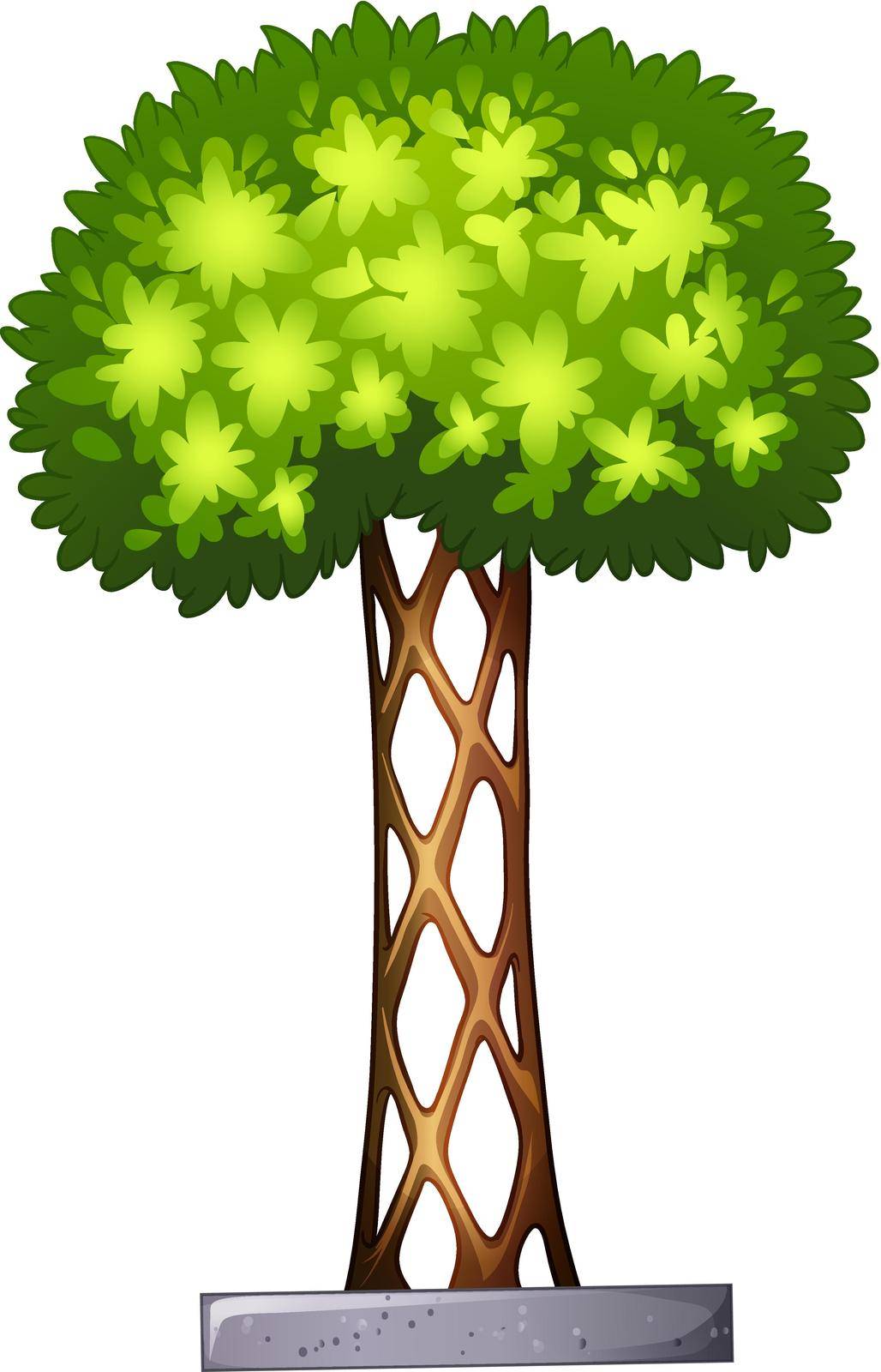 Illustration of a landscaping plant on a white background