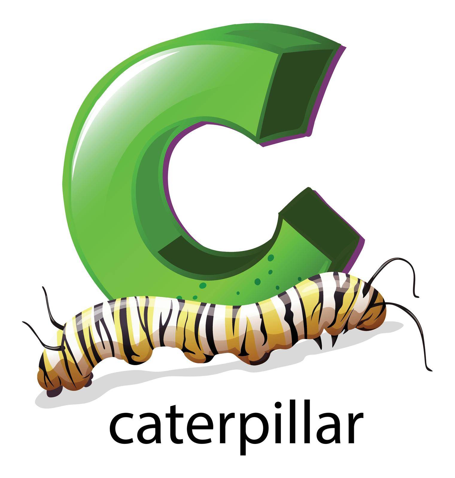 Illustration of a letter C for caterpillar on a white background