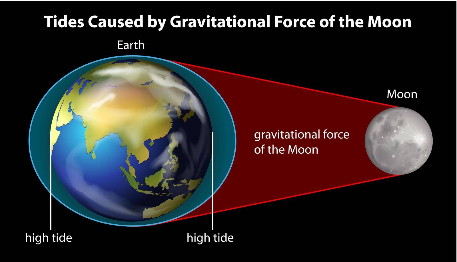 Poster explaining cause of tides by gravitational force